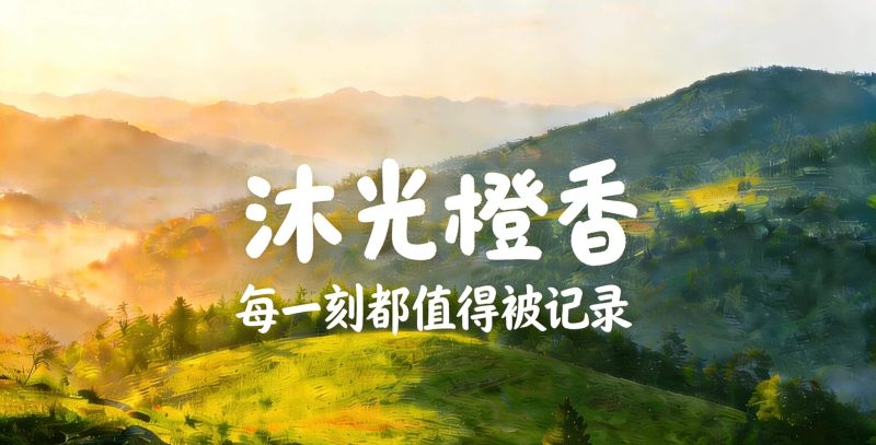 多商户插件-多商户插件-沐光橙香测试站点