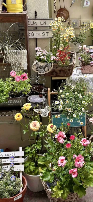 Share｜🌷春日来信💐-沐光橙香测试站点
