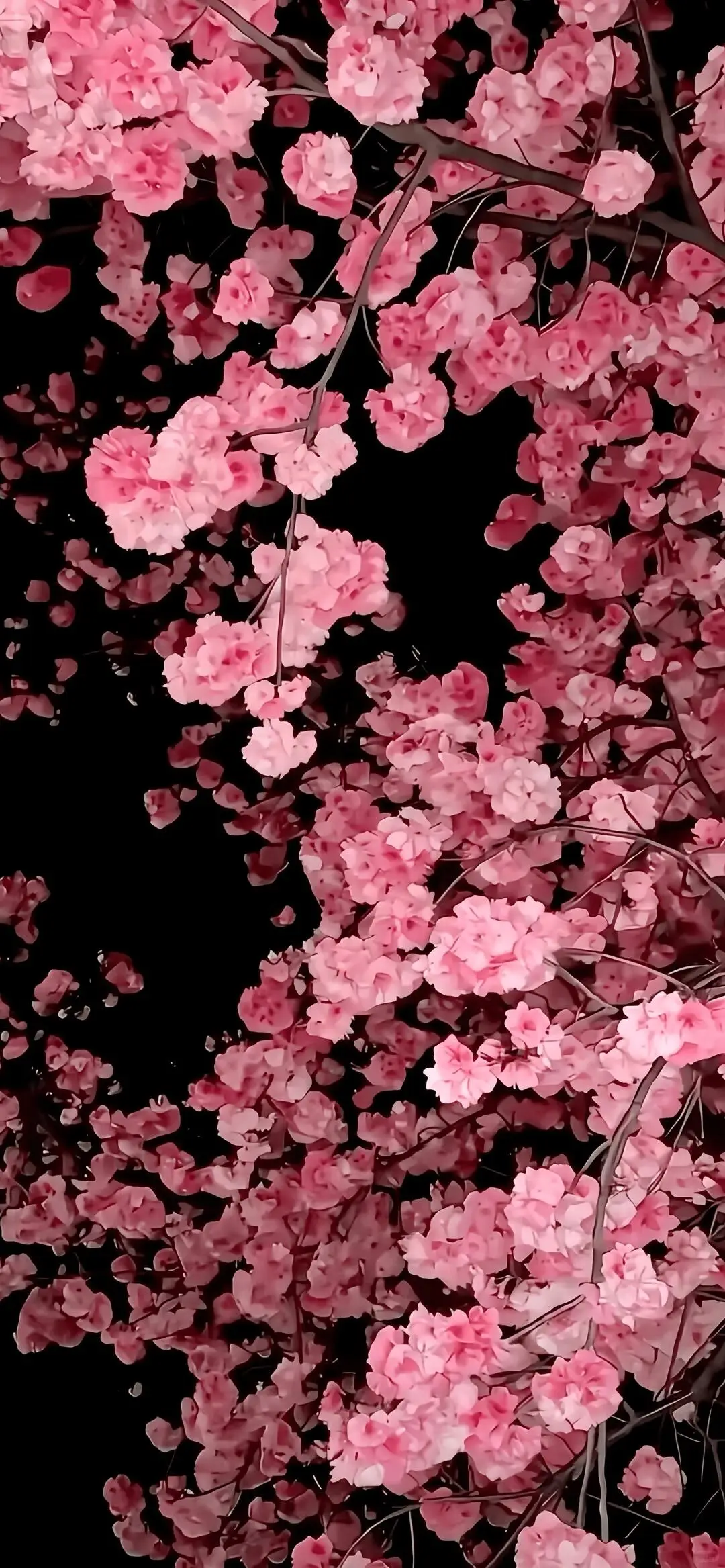 Share|🌷春日来信💐